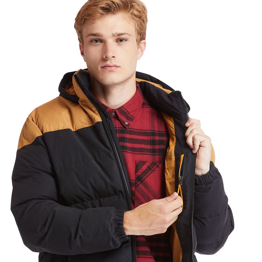 Chaquetas Timberland Hombre Welch Mountain Warm Invierno Marrones/Negras - Chile MPI-372648